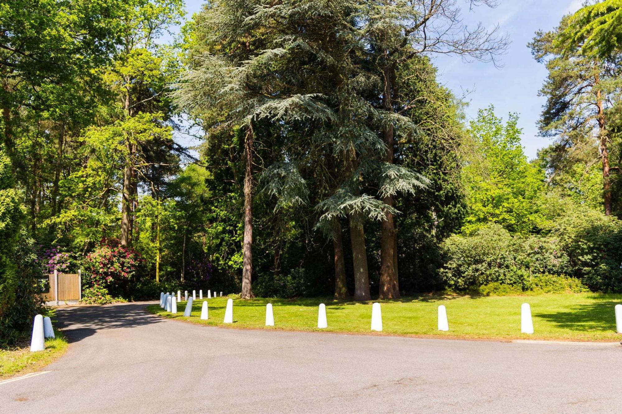 Hilton Cobham Hotel Cobham  Exterior photo